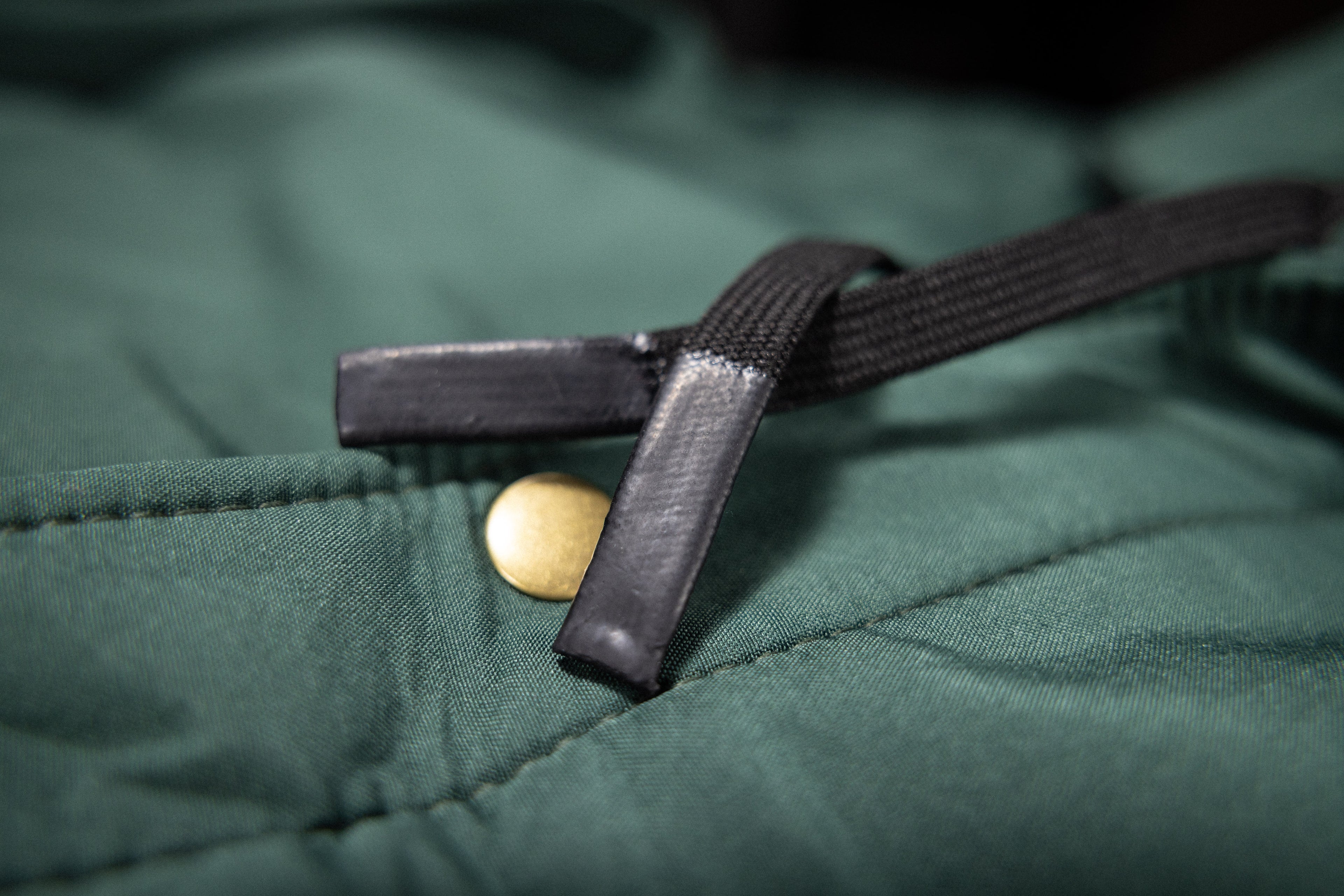 Spruce Green | The Forager