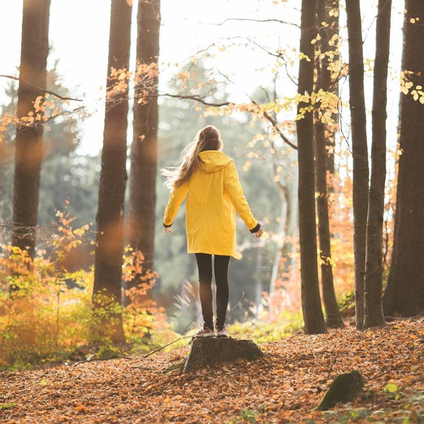 Yellow Ember & Earth raincoat on an autumn forest walk
