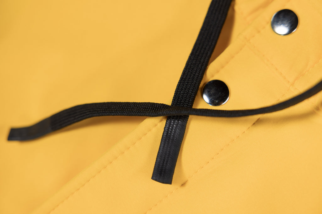 Yellow | The Original